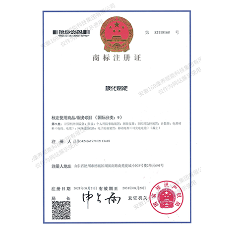 極化賦能商標(biāo)注冊(cè)證