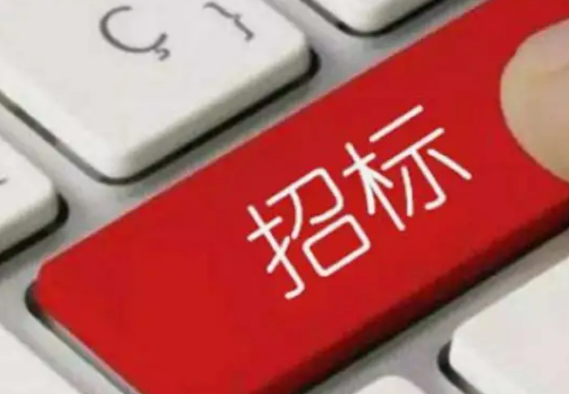 《蒲公英》：第四章 究竟誰(shuí)是國(guó)企的老板（一）